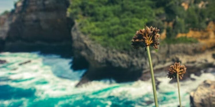 4 Pantai di Gunungkidul yang Cocok Dikunjungi Rombongan Maba Terminal Mojok