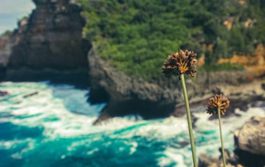 4 Pantai di Gunungkidul yang Cocok Dikunjungi Rombongan Maba Terminal Mojok