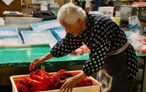 Lansia di Jepang dan Korea Justru Bekerja untuk Nikmati Masa Tua