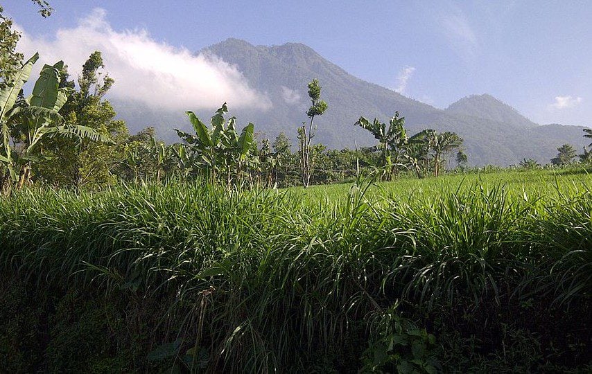 Gunung Kawi dan Mitos Pohon Dewandaru Bawa Rezeki