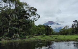 5 Destinasi Wisata Jambi yang Sebaiknya Dikunjungi