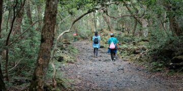 Hutan Aokigahara dan Mitos Ubasuteyama di Jepang