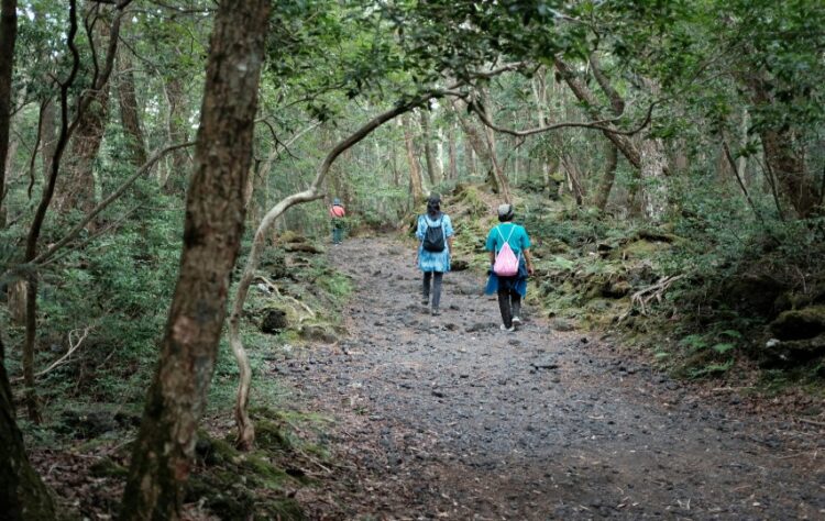 Hutan Aokigahara dan Mitos Ubasuteyama di Jepang