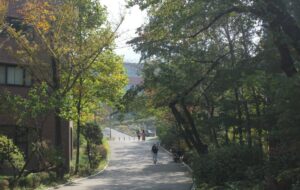 SKY, Tiga Kampus Prestisius Korea Selatan yang Selalu Disanjung