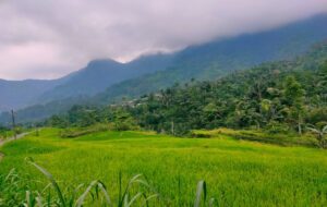 Petungkriyono, Surga Wisata di Pekalongan