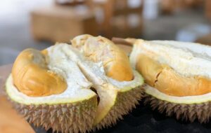 5 Kampung Durian Runtuh ala Upin & Ipin yang Ada di Banyuwangi
