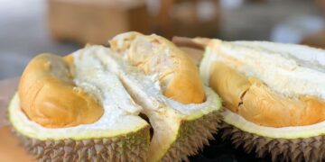 5 Kampung Durian Runtuh Upin & Ipin yang Ada di Banyuwangi Terminal Mojok