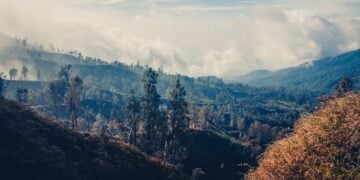 Menebak Alasan Mitos Santet Tumbuh Subur di Banyuwangi