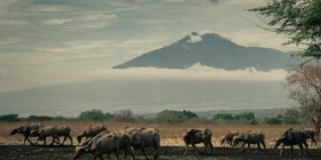 4 Lokasi Wisata Banyuwangi yang Paling Cocok untuk Pacaran Low Budget Terminal Mojok