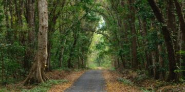 3 Rekomendasi Wisata Mistis di Jawa Timur yang Wajib Dikunjungi