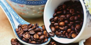 4 Kecamatan Penghasil Kopi Terbaik di Banyuwangi