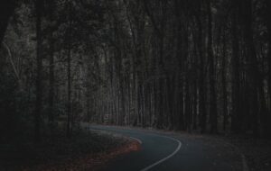 5 Rekomendasi Gua di Alas Purwo yang Wajib Dikunjungi Pelaku Spiritual