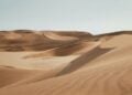 Drawing Piala Dunia 2022 sepanas gurun pasir Terminal Mojok