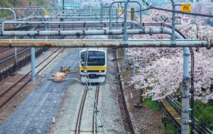 Nembak Kereta, Kelakuan Memalukan Orang Indonesia di Jepang