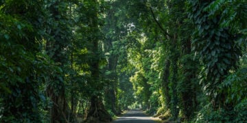 Hotel terdekat dari tempat wisata di Kota Bogor