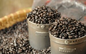 Kopi Kalosi Enrekang: Tak Sepopuler Kopi Toraja, tapi Rasa Tak Kalah Nikmat