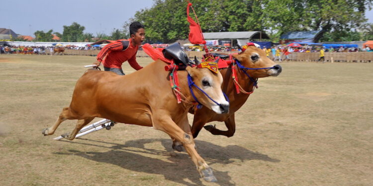 67 kosakata bahasa madura