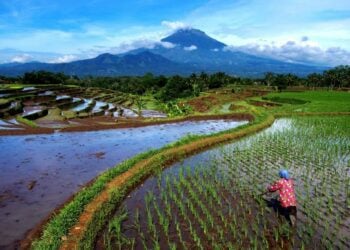 3 Hal yang Tak Bisa Dilakukan di Magelang Terminal Mojok