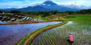 3 Hal yang Tak Bisa Dilakukan di Magelang Terminal Mojok