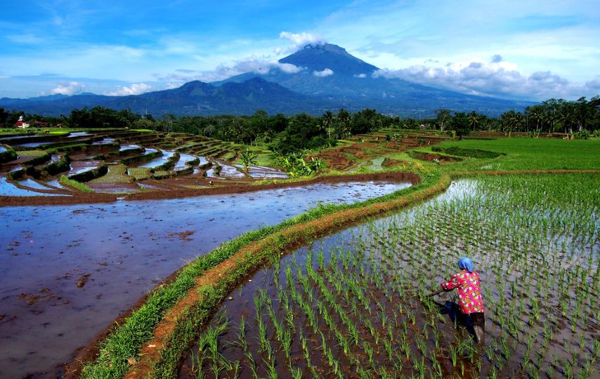 3 Hal yang Tak Bisa Dilakukan di Magelang Terminal Mojok