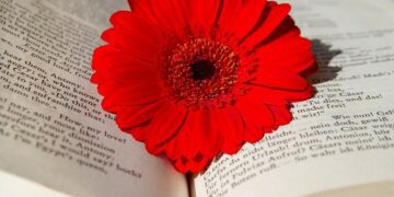 5 Hal Kecil yang Bisa Meningkatkan Kemampuan Bahasa Inggris guru bahasa inggris