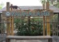 Faunaland, Kebun Binatang Alternatif di Jakarta selain Ragunan