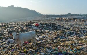 Krisis Sampah di Jogja Adalah Cara Pemerintah Memupuk Semangat Warga Jogja agar Do It Yourself, Terima Kasih Banget loh!