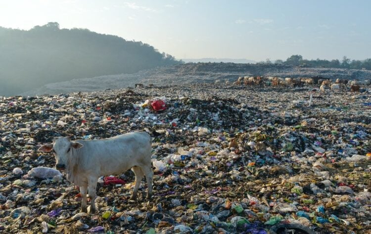 Adakah Dana Istimewa untuk Sampah yang Tidak Istimewa? TPST Piyungan, ASEAN Tourism Forum, Jogja krisis sampah di jogja bantargebang