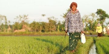 50 Kosakata yang Sering Digunakan Masyarakat Madura Swasta dalam Interaksi Sehari-hari Terminal Mojok.co