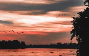 FTV Indonesia Bakal Lebih Seru kalau Berani Syuting di Kalimantan