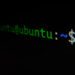 Ubuntu, Sistem Operasi yang Harus Kamu Pilih Jika Hijrah ke Linux