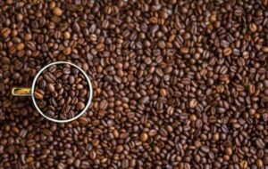 Battle Kopi Cup: Kopi Nongkrong vs Kopikap, Mana yang Lebih Unggul?