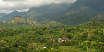 Buleleng, Bali. Tempat di mana Desa Bengkala berada. (Unsplash.com)