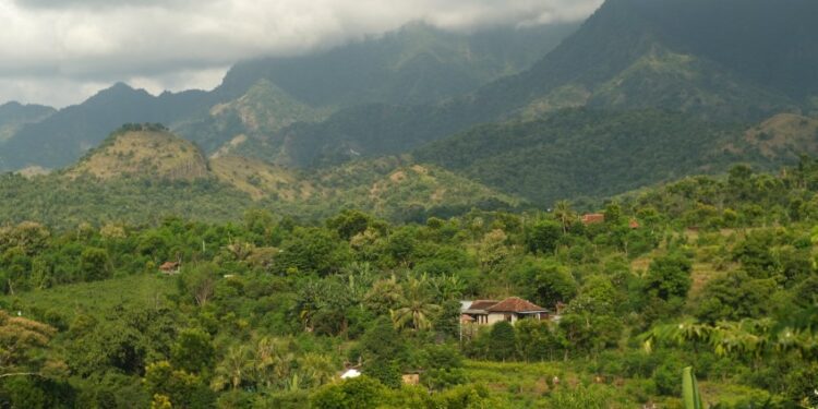 Buleleng, Bali. Tempat di mana Desa Bengkala berada. (Unsplash.com)