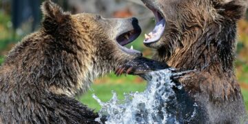 Login Elegan, Logout Elegan: Sebuah Kiat untuk Menang Debat di Media Sosial