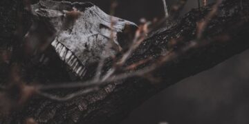 5 Tempat Horor di Jogja yang Underrated dan Bisa Jadi Opsi Wisata Ekstrem