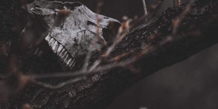 5 Tempat Horor di Jogja yang Underrated dan Bisa Jadi Opsi Wisata Ekstrem