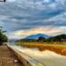 Jangkrik Genggong, Lagu yang Bikin Semarang Tenar Karena Banjirnya Terminal Mojok
