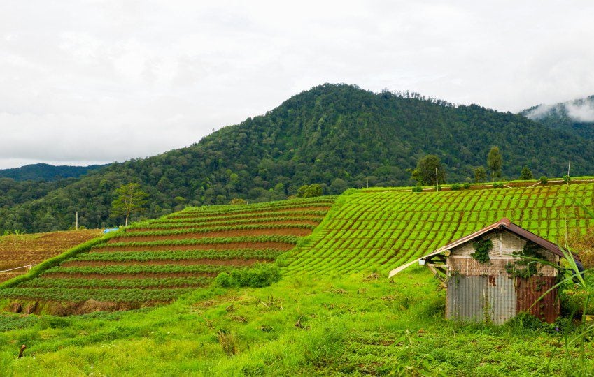 Kota Batu Dibuat Malu Berkat Julianto Eka Putra, Pelaku Kekerasan Seksual (Unsplash.com)