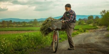 Mineral Town, Sebaik-baiknya Kota untuk Menghabiskan Hari Tua Terminal Mojok
