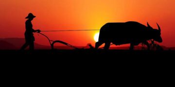 4 Hal Mewah bagi Orang Kota yang Sebenarnya Biasa Saja bagi Orang Desa