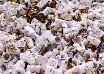 Ecobrick, Memberi Kesempatan Kedua pada Sampah Plastik diet plastik