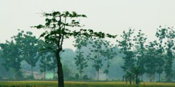 5 Keunikan Purbalingga yang Tidak Dimiliki Daerah Lain (Unsplash.com)