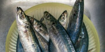 5 Makanan Khas Makassar selain Coto dan Konro yang Cocok dengan Lidah Jawa Terminal Mojok