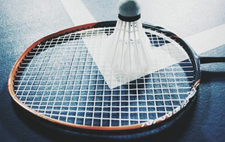 Rekomendasi 3 Raket Badminton Murah dengan Harga di Bawah 500 Ribu Terminal Mojok