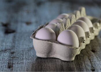 Harga Telur Hari Ini Bikin Nasib Mahasiswa Jogja Makin Mengenaskan!