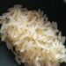 Tara Nasiku: Nasi Instan Ambigu yang Nggak Laku