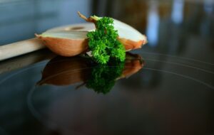 Mengganti Elpiji dengan Kompor Induksi ketika Aliran Listrik Belum Merata, Pemerintah Sehat?