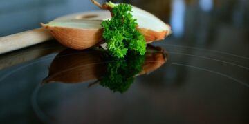 Mengganti Elpiji dengan Kompor Induksi ketika Aliran Listrik Belum Merata, Pemerintah Sehat?