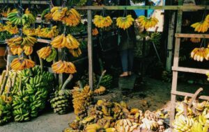 Manis Sampai Pedas, Aneka Camilan Olahan Pisang Khas Bugis-Makassar